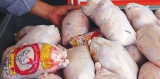 بازار مرغ راکد شد