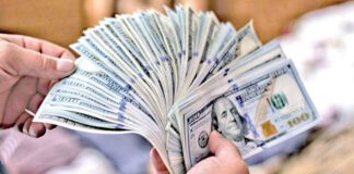 بازار داغ دلار در یخبندان تهران ارز