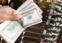 دلار تا پایان سال ۲۵ هزار تومان میشود