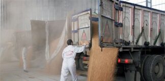 قاچاق ۳ میلیون تن گندم خریداری شده با دلار۴۲۰۰ تومانی