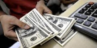 توقف دستوری قیمت اسکناس آمریکایی