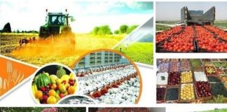 لیست جدید محصولات کشاورزی مشمول تهاتر اعلام شد