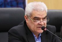 صرفه جویی 110 میلیون یورویی با داخلی سازی سکوهای میدان نفتی فروزان صالحی نیا