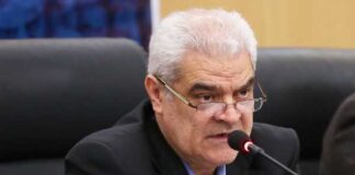 پیش بینی رشد 50 درصدی تولید خودرو در سال آینده صالحی نیا