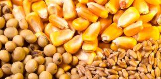 امکان واردات ۱.۵میلیارد دلاری کالاهای اساسی