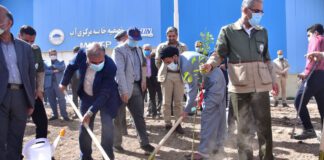 غرس صدها اصله نهال در مجتمع صنعتی چادرملو