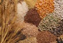 اعلام نرخ جدید دلار کالاهای اساسی غلات