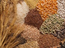 اعلام نرخ جدید دلار کالاهای اساسی غلات