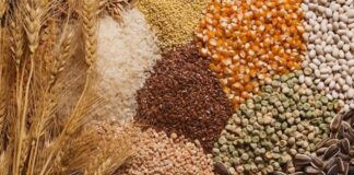 هشدار فعالان اقتصادی در مورد تامین غلات و روغن همزمان با بحران اوکراین غلات