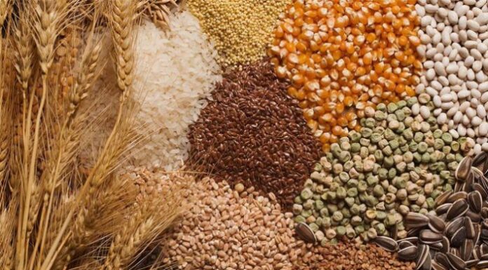 اعلام نرخ جدید دلار کالاهای اساسی غلات