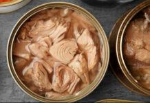 دلیل افزایش قیمت تن ماهی اعلام شد