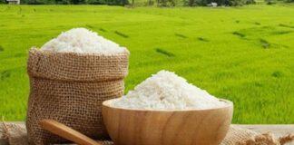 زمان ثبت سفارش برنج اعلام شد