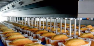 سه نگرانی تولیدکنندگان پس از اصلاحات ارزی