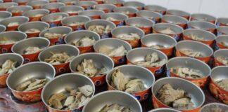 سهم ۴۰ درصدی عمده و خرده فروشی در قیمت نهایی تن ماهی