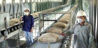 قیمت سیمان در برخی شهرها دو برابر شد