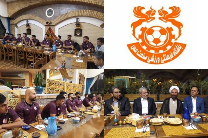 شرکت ملی مس