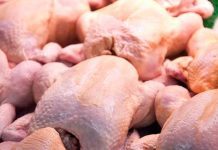 کاهش ۲۵ تا ۳۰ درصدی مصرف مرغ