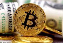 پیش بینی جدید از قیمت بیتکوین