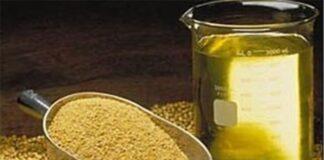 قیمت ارزی نهاده های دامی، دانه سویا و روغن خام اعلام شد