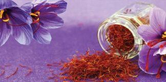 صادرات زعفران نصف شد