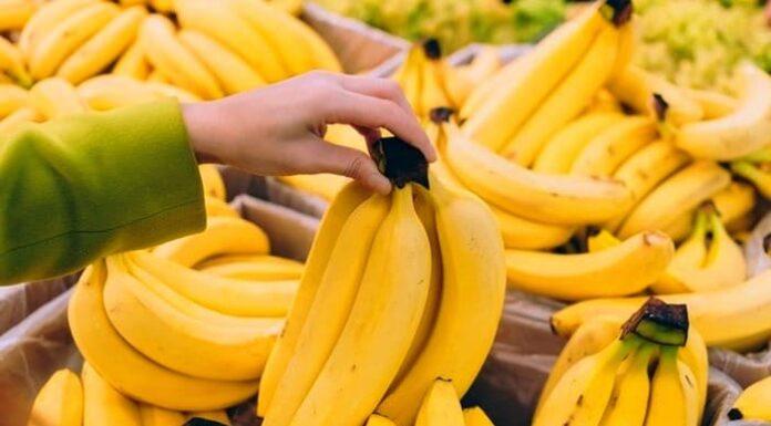 پشت پرده گرانی موز در ایران