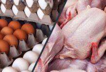 کاهش قیمت مرغ و تخم مرغ