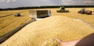 خرید تضمینی گندم به ۹ میلیون تن می رسد