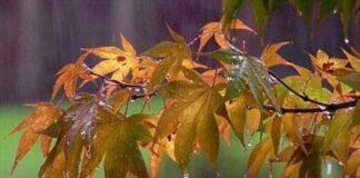 بهبود هوای تهران با وزش باد در شنبه