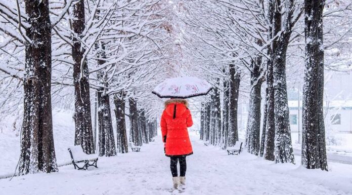 تداوم باران و برف در ۱۶ استان