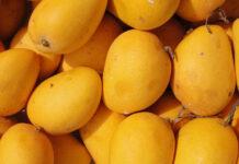 صادرات سیب به پاکستان در ازای واردات نارنگی و انبه