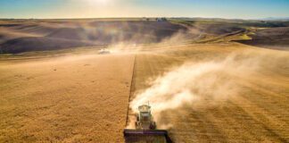 تاثیر اقتصاد جهانی بر قیمت مواد غذایی در سال ۲۰۲۳