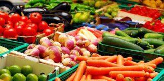 تولید محصولات جالیزی متوقف نمیشود