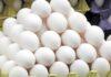 قیمت تخم مرغ پایینتر آمد
