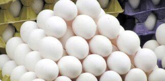 امروز تخم مرغ چند؟