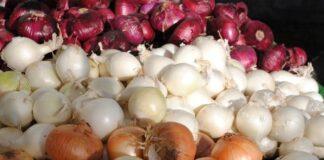 چرا پیاز گران شد؟