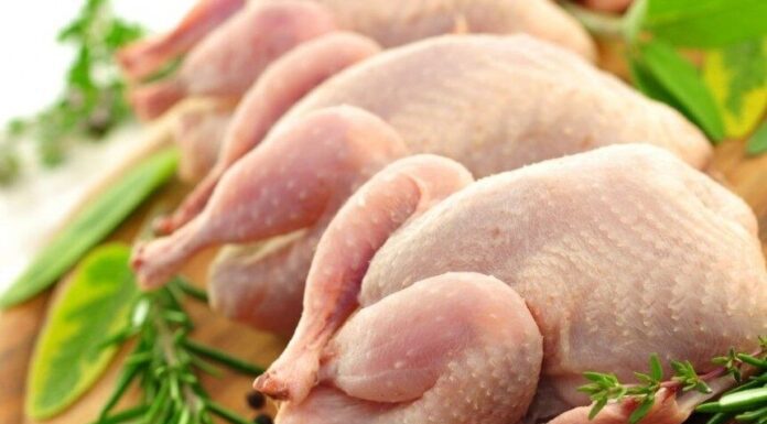 کمبودی در عرضه مرغ گرم نداریم