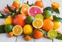 تولید مرکبات ۳۰ درصد افزایش یافت