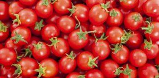 قیمت گوجه فرنگی به زودی متعادل میشود