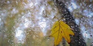 ورود سامانه بارشی از امروز