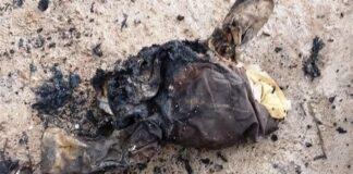 جزئیات انفجار در معدن دامغان