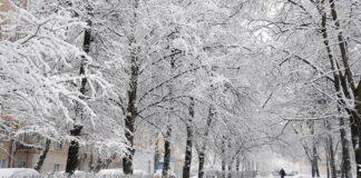 فعالیت سامانه بارشی در ۲۰ استان