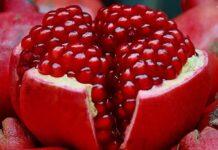 قیمت میوه در شب یلدا تغییری ندارد