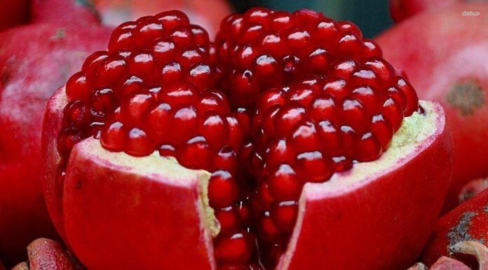 قیمت میوه در شب یلدا تغییری ندارد