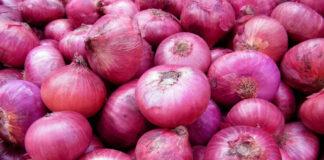 قیمت پیاز کاهش یافت