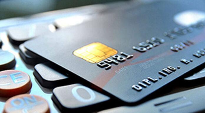 برداشت کالابرگ یک میلیونی آغاز شد