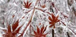 دمای منفی ۱۸ درجه در تهران
