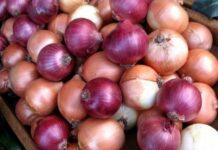 قیمت مصوب پیاز اعلام شد + جدول