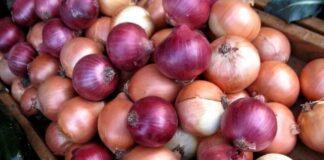 پیاز وارداتی قیمتها را چقدر کاهش داد؟