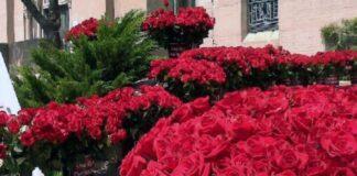 در آستانه روز مادر؛ دلالان گل دست به کار شدند