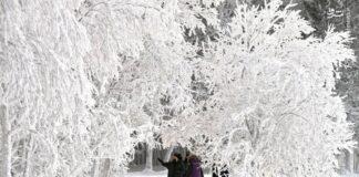 بارش برف و باران در ۲۰ استان تا آخر هفته